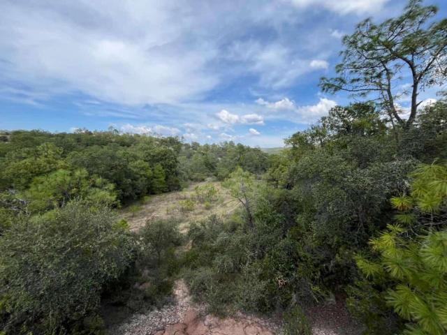 Mega Lote en venta en Santiago Yolom?catl Oaxaca terreno