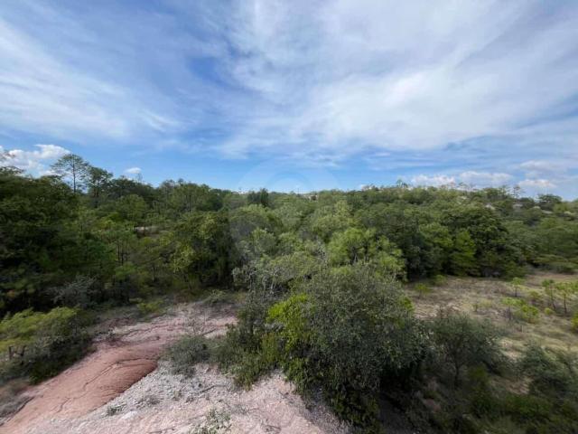 Mega Lote en venta en Santiago Yolom?catl Oaxaca terreno