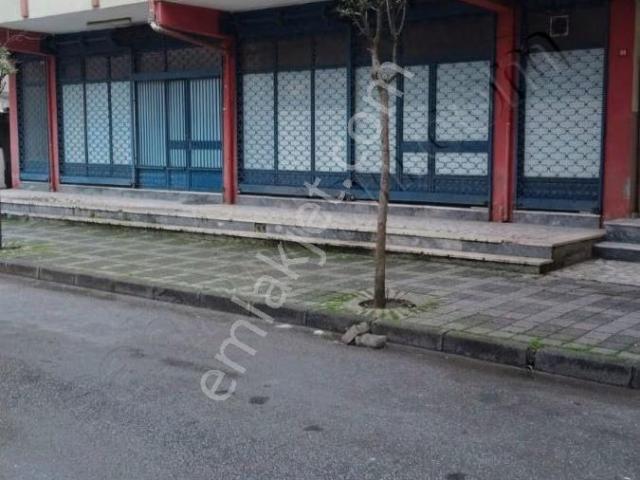 Mehmet _akif_ Mahallesinde _kiralık_bahçe Katı _1+1_sobalı_daire