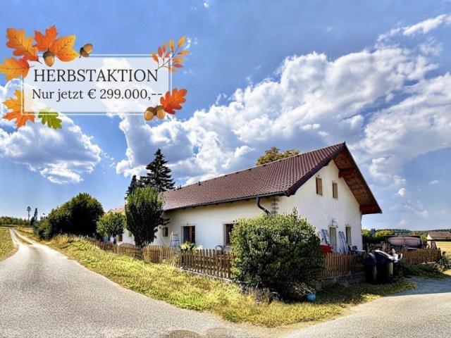 MEHR PLATZ FÜRS LEBEN | Großzügiges Bauernhaus | 3 Wohneinheiten | Teilsaniert | Garten | Terrasse | 4 Garagen