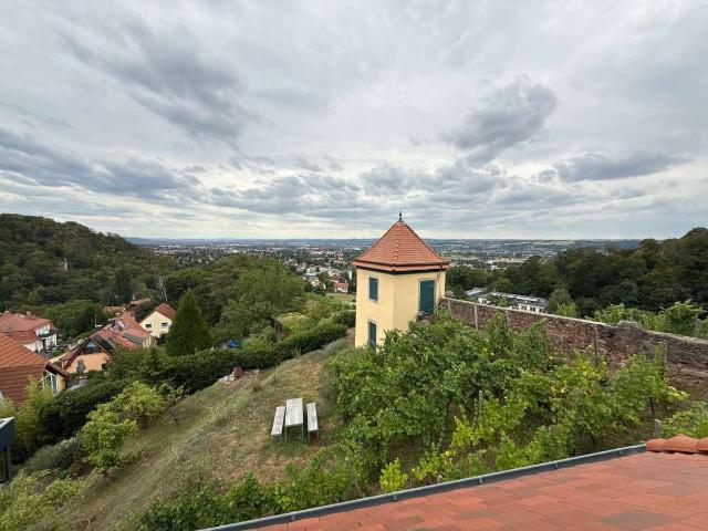 Mehr Radebeul. Weinberg und Blick geht nicht.