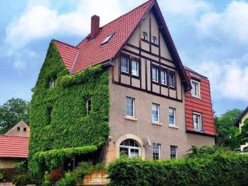 Mühlsdorf, Lohmen, Sachsen - Garten, Keller