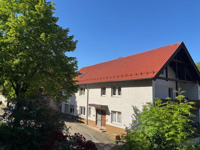 Mehrgenerationenhaus oder lukrative Kapitalanlage