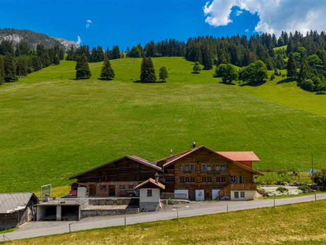 Mehrfamilien Chalet mit 3 Wohnungen und idyllischer Bergsicht