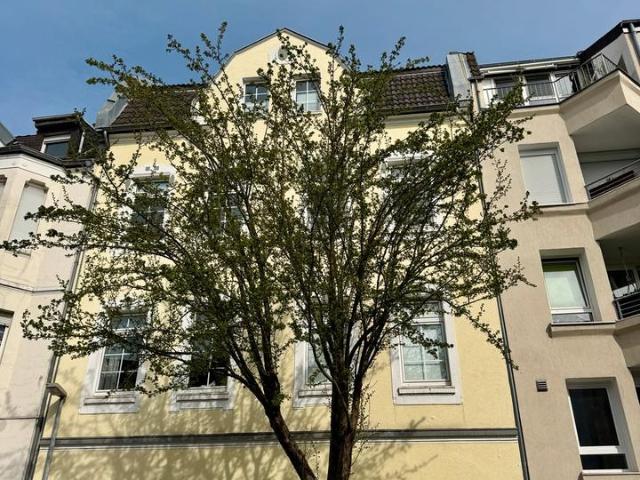 Mehrfamilienhaus, Altbau, Rarität für vier Familien
