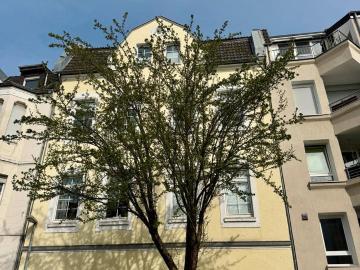 Mehrfamilienhaus, Altbau, Rarität für vier Familien