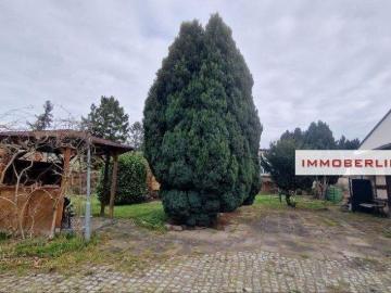 Nauen, Havelland, Havelland, Sachsen-Anhalt