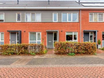 Meidoorn, Millingen aan de Rijn, Nederland