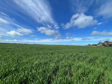 Melton, Barunga West, Garden Island, City of Salisbury, South Australia