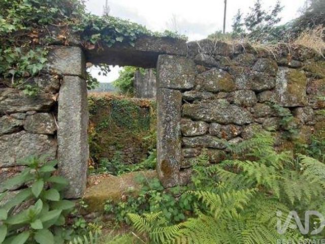 Melgaco Viana Do Castelo 105336296