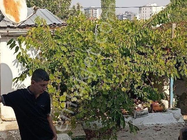 Melikgazi Esentepe Mahallesinde Müstakil Ev
