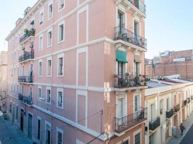 Mellow studio apartment near the Facultat de Medicina