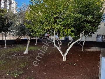 Çukurova, Adana ili, Akdeniz Bölgesi - Klima