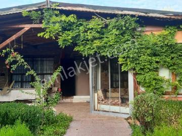 Meram Kozağaç’ta 1000 M2 Arsa İçinde Yetişmiş Meyve Ağaçlı, 2+1 Müstakil Ev