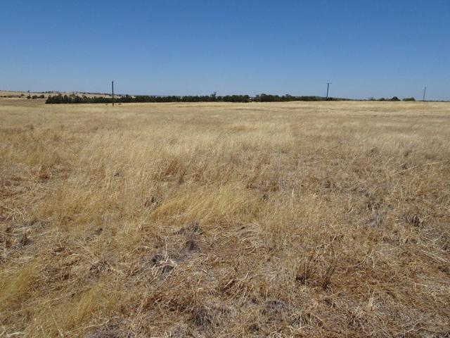 Merkine Valley Classic West Brookton Country