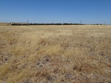 Merkine Valley Classic West Brookton Country