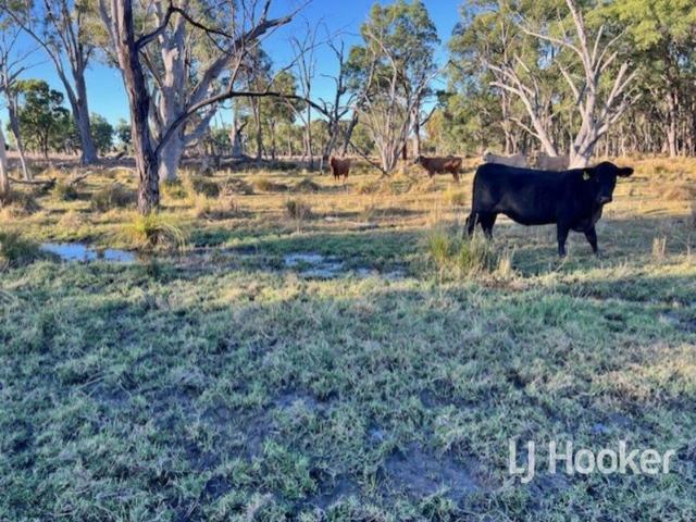 'Merlin' 296 Limestone Road, ASHFORD NSW 2361