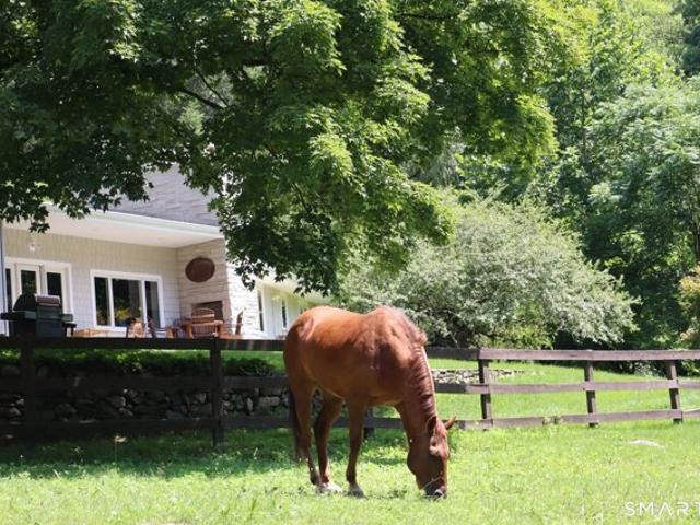 Merryall Rd, New Milford, Home For Sale