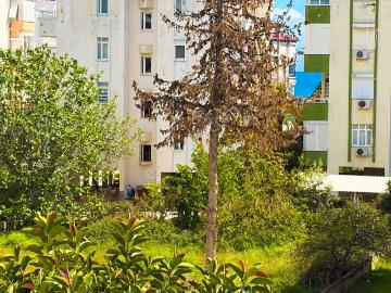 Mersin Anamur Sahil Satılık 2+1 Daire fiyatı Düşürdük