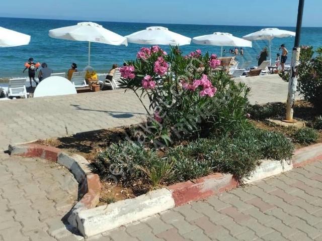 Mersin Erdemli Limonlu'da Satılık 1+1 Eşyalı Denize Sıfır Daire