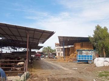 Tarsus, Mersin ili, Akdeniz Bölgesi