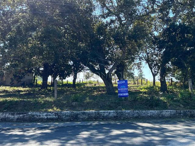 METV2303 TERRENO EN VENTA, COL. LINDAVISTA PUEBLO VIEJO, VER. $1?270,000