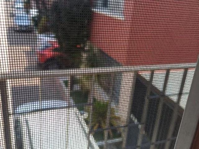 Metepec Venta de casa en privada