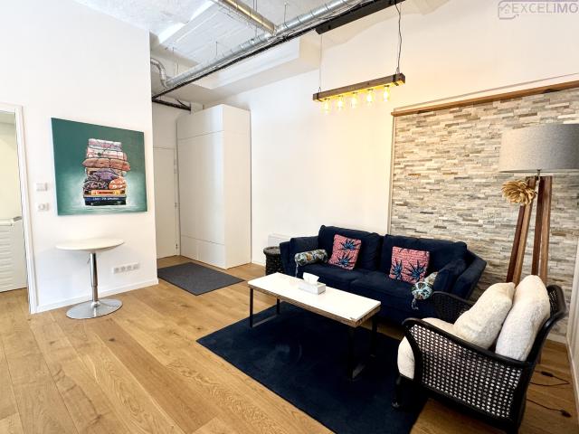 meublée atypique et cosy situe à Strasbourg centre secteur Musée d’art moderne
