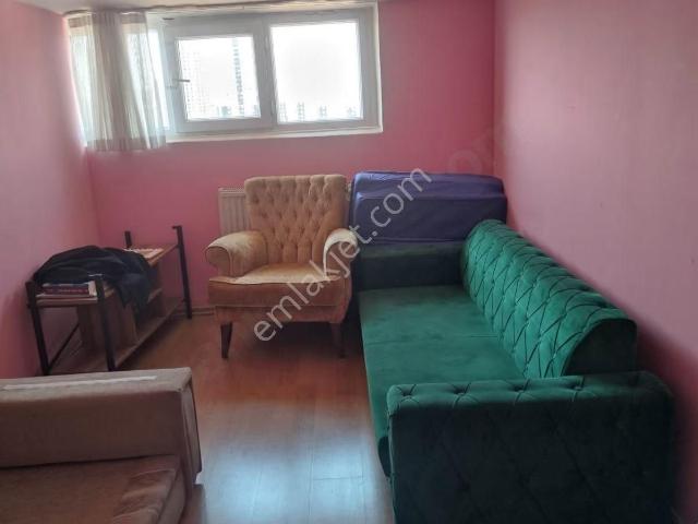 Mevlana Mah De 1+1 Kiralık Daire
