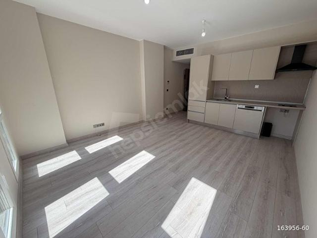 MEYDAN ARDIÇLIDA GÜNEY CEPHE KİRALIK 1+0 STÜDYO DAİRE