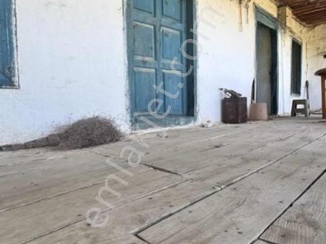 Mhc'den Koçarlı Tığlılarda 1 Dönüm İçinde Müstakil Köy Evi