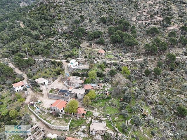 MİLAS'TA EMSALLERİNİN YARI FİYATINA FİYAT 1 HAFTALIĞINA GEÇERLİ