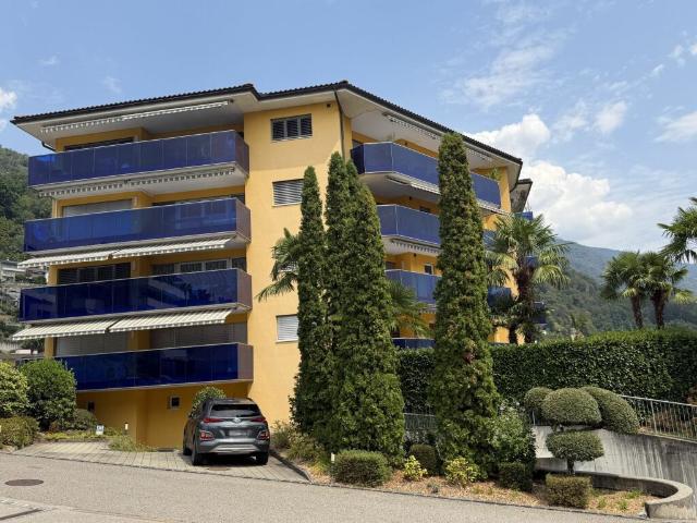 Minusio Vendesi appartamento curato con grande balcone