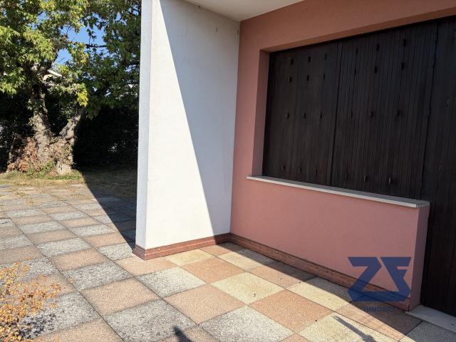 Mini Appartamento con Giardino a Castelfranco Veneto Libero da Subito!