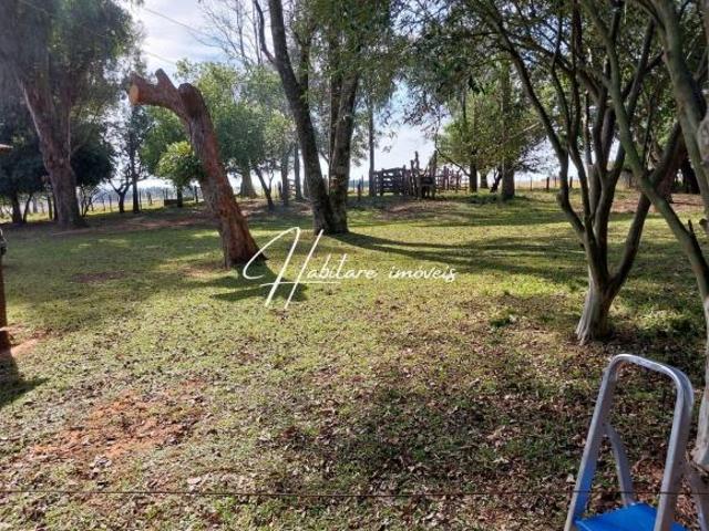 MINI FAZENDA DE 37,5 HA NO DURASNAL: LOGÍSTICA PERFEITA E ÁGUA GARANTIDA!