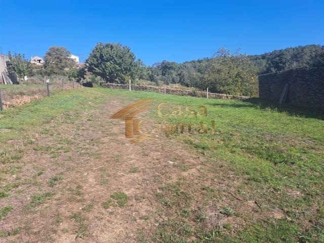 Mini quinta