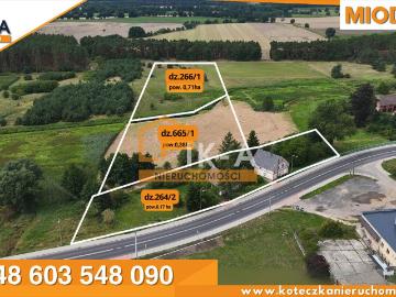 Dom z potencjałem na 1,26ha w Miodnicy, 6 pokoi, garaż