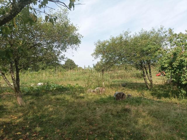 Micro ferme en agriculture et maraichage biologique à 1H30 d. m² Villiers Saint Benoît
