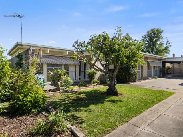 Mid Century Time Capsule