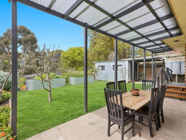 Mid century warmth and a garden of possibilities