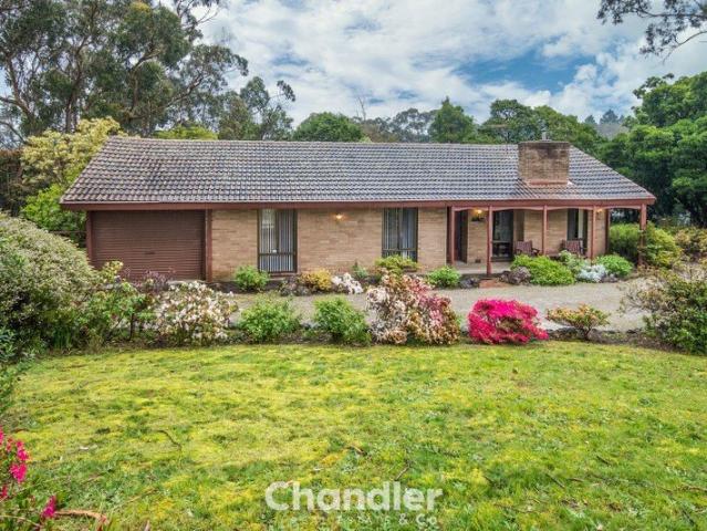 Mid Century Character & Plenty of Potential
