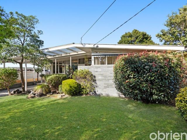 Mid Century Charm with Space & Light