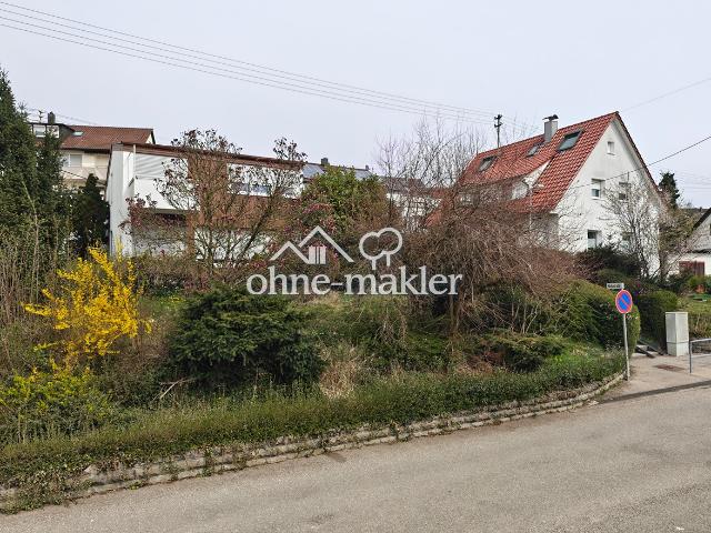 Mid Century Einfamilienhaus aus den 60ern 7 Zimmer, 2 Gärten, 2 Balkone und Garage mit Gartenhaus