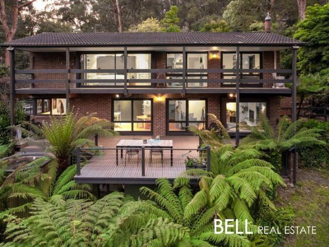 Mid Century Soul Reimagined on an Acre Plus