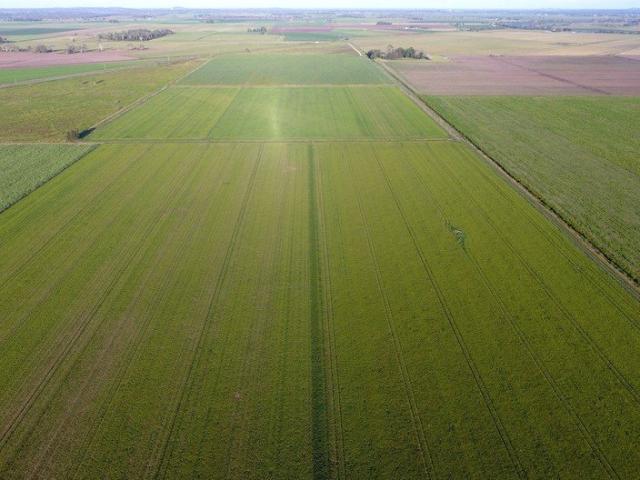 MID RICHMOND RIVER CROPPING COUNTRY