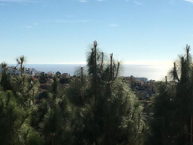 Middle Floor Apartment in Calahonda