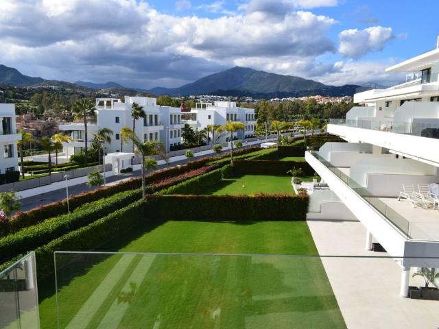 Estepona