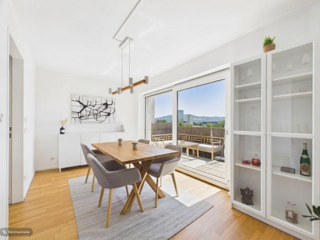 Miete Wohnung in Linz Linz/Urfahr: Mietwohnung mit ca. 56m² + XL DACHTERRASSE ca