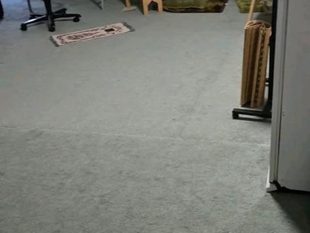 Mieten 1 Zimmer Einliegerwohnung in Zuffenhausen ab dem 01.11.26