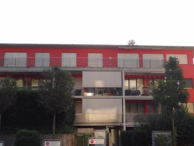 Mieten ohne Kaution grosse Loftwohnung mit Gartensitzplatz